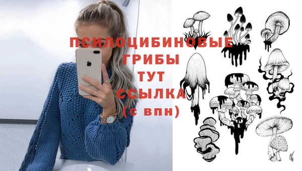 соль ск Балабаново