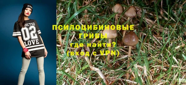 apvp Баксан