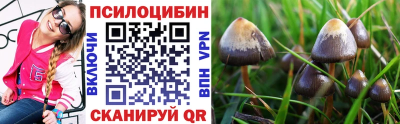 Галлюциногенные грибы Magic Shrooms  Козельск 